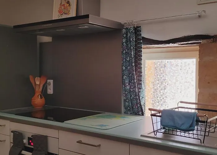 Perigord Noir Les Sauges Rouges 3 Etoiles Tatil Evi *